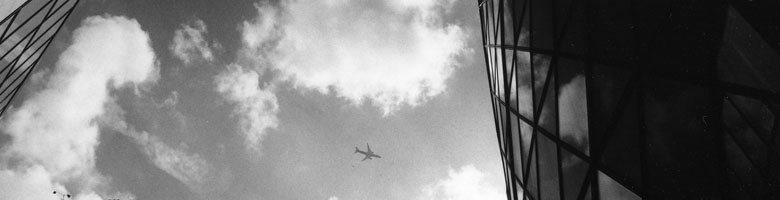 2005 ���M�E�S�H�E�ʐ^�W