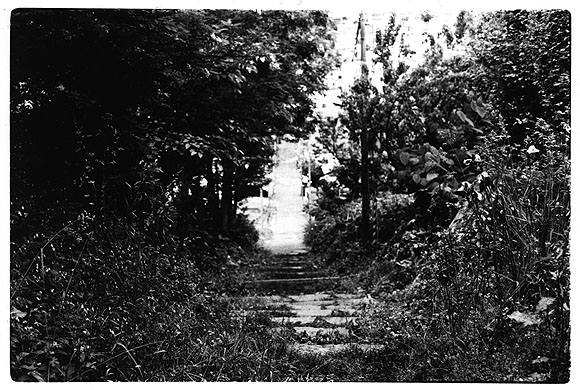 �ʐ^�E���V�{�ɂ�